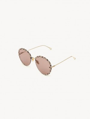 Okulary Przeciwsłoneczne Chloe Idora Złote Beżowe | CHE-SR14508