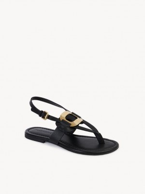 Sandały Chloe Chany Czarne | CHE-SR14844
