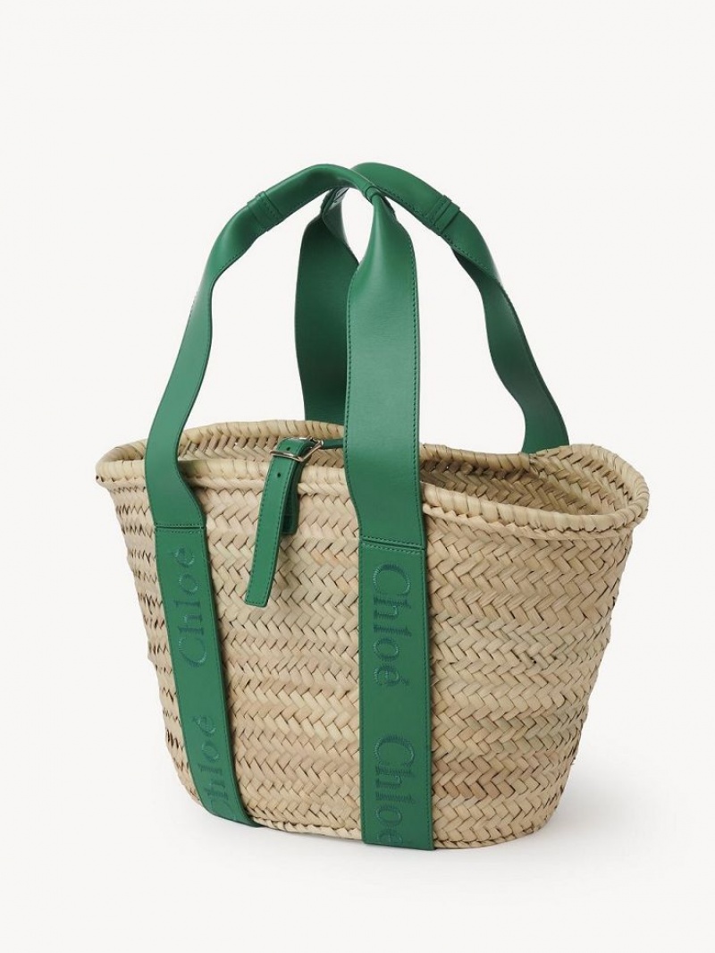 Baskets Chloe Sense Medium Zielone | CHE-SR13641