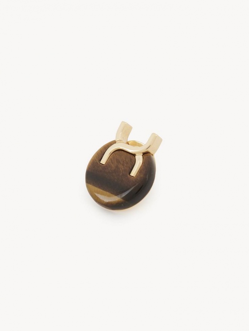 Kolczyki Chloe Marcie Clip-on Złote | CHE-SR14448
