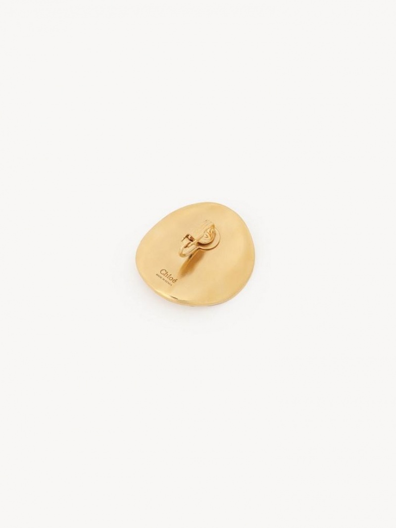 Kolczyki Chloe Penelope Coin Głęboka Złote | CHE-SR14455