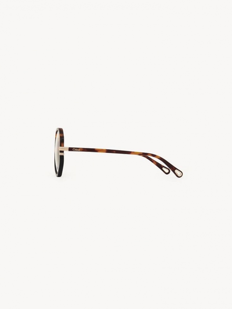 Okulary Chloe West Havana | CHE-SR14584