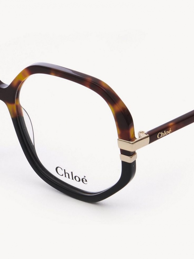Okulary Chloe West Havana | CHE-SR14584