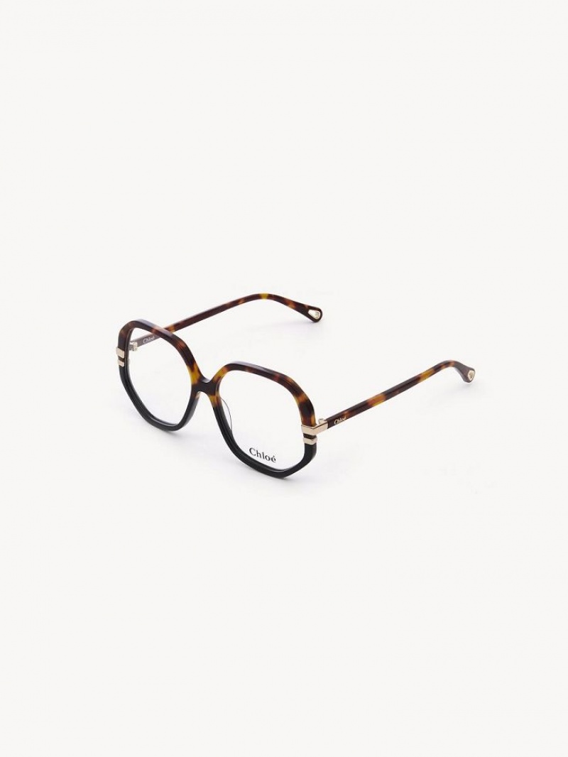 Okulary Chloe West Havana | CHE-SR14584