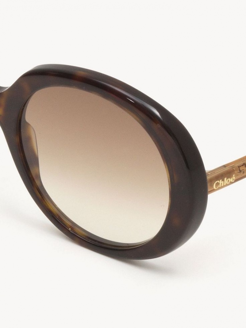 Okulary Przeciwsłoneczne Chloe Esther Brązowe | CHE-SR14529