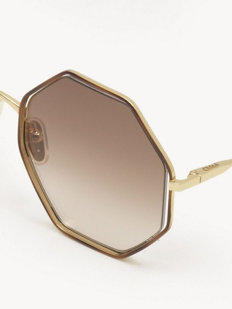Okulary Przeciwsłoneczne Chloe Poppy Petite Brązowe | CHE-SR14545