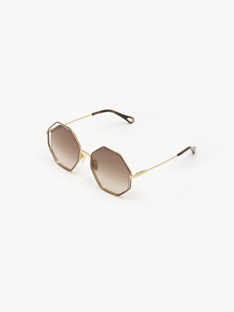 Okulary Przeciwsłoneczne Chloe Poppy Petite Brązowe | CHE-SR14545