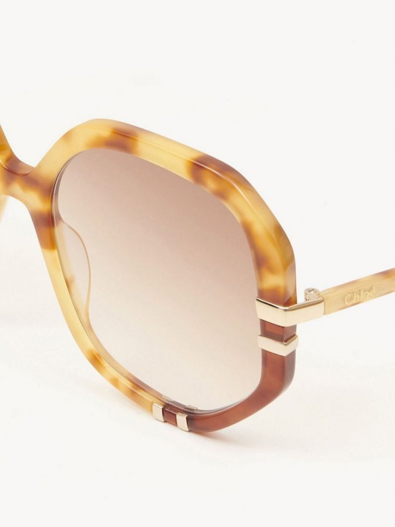 Okulary Przeciwsłoneczne Chloe West Havana Patchwork | CHE-SR14547