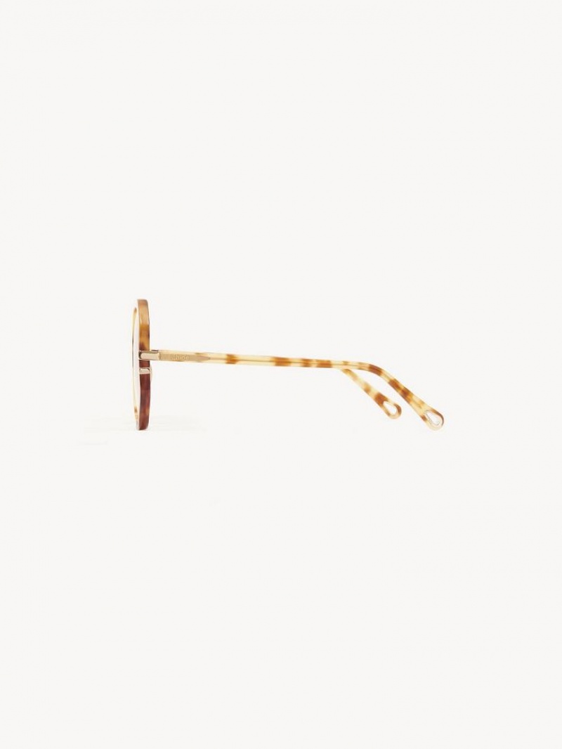 Okulary Przeciwsłoneczne Chloe West Havana Patchwork | CHE-SR14547