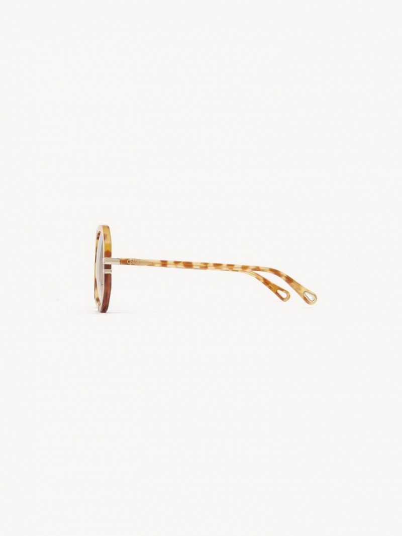 Okulary Przeciwsłoneczne Chloe West Small Havana Patchwork | CHE-SR14518