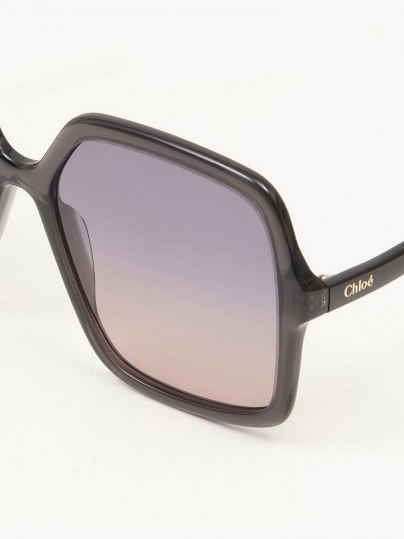 Okulary Przeciwsłoneczne Chloe Zelie Szare | CHE-SR14561