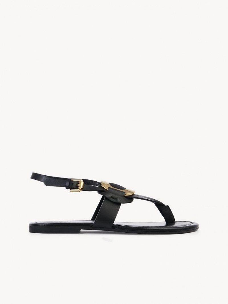 Sandały Chloe Chany Czarne | CHE-SR14844