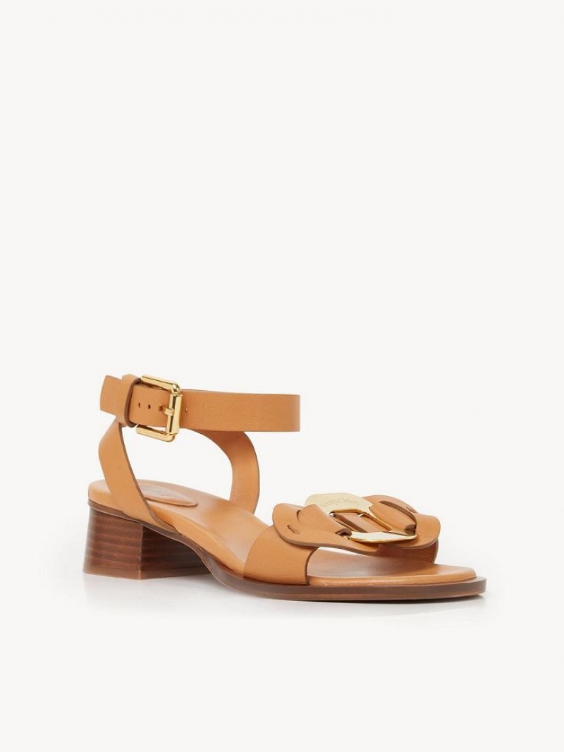 Sandały Chloe Chany High-heel Brązowe | CHE-SR14828