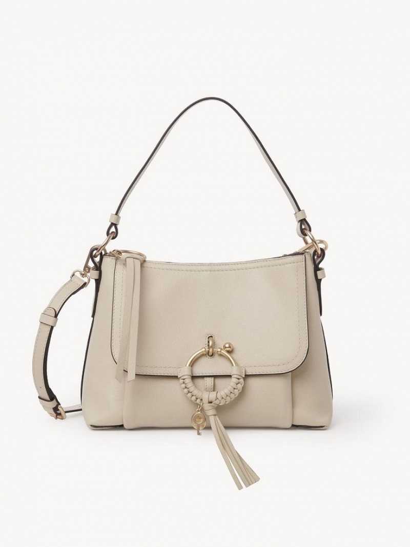 Torby Przez Ramię Chloe Joan Small Beżowe | CHE-SR14681