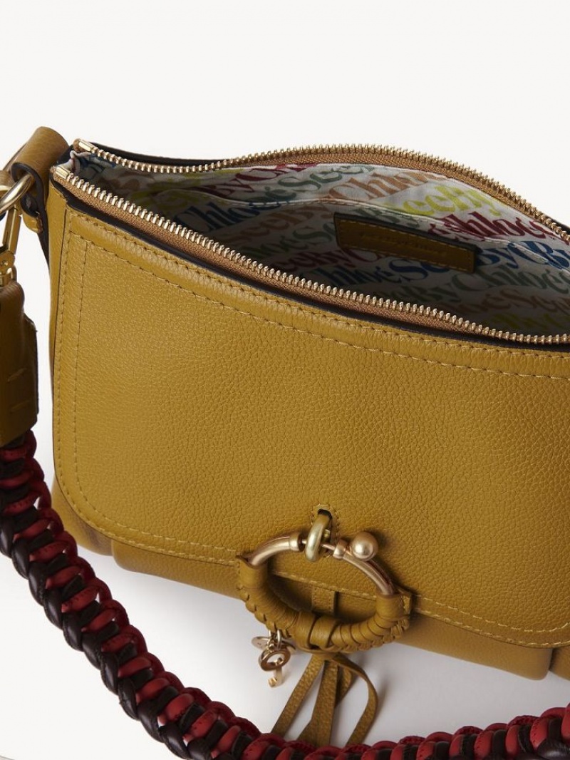 Torby Przez Ramię Chloe Joan Small Brązowe | CHE-SR14648