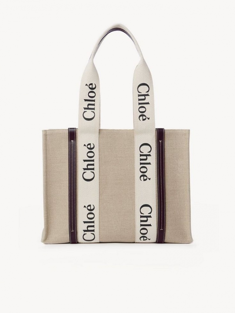 Torby Przez Ramię Chloe Medium Woody Jasny | CHE-SR13457