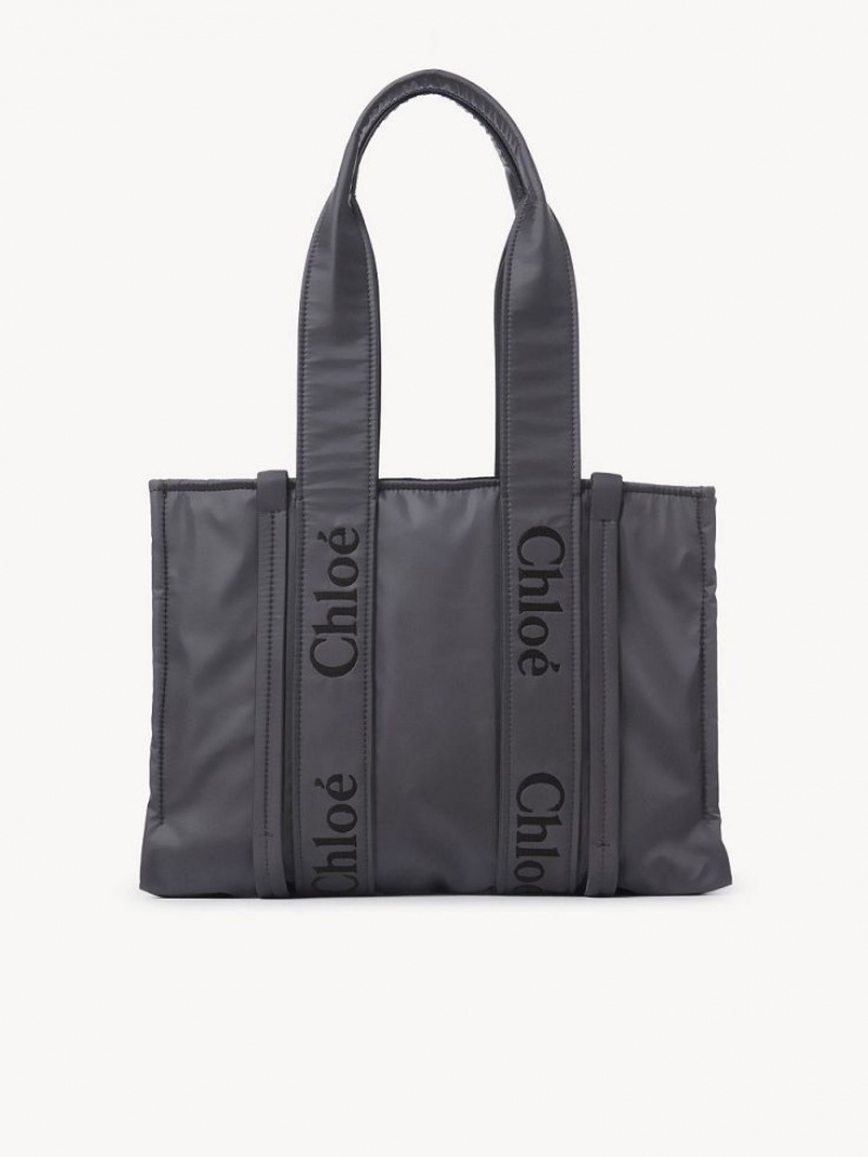 Torby Przez Ramię Chloe Medium Woody Szare | CHE-SR13427
