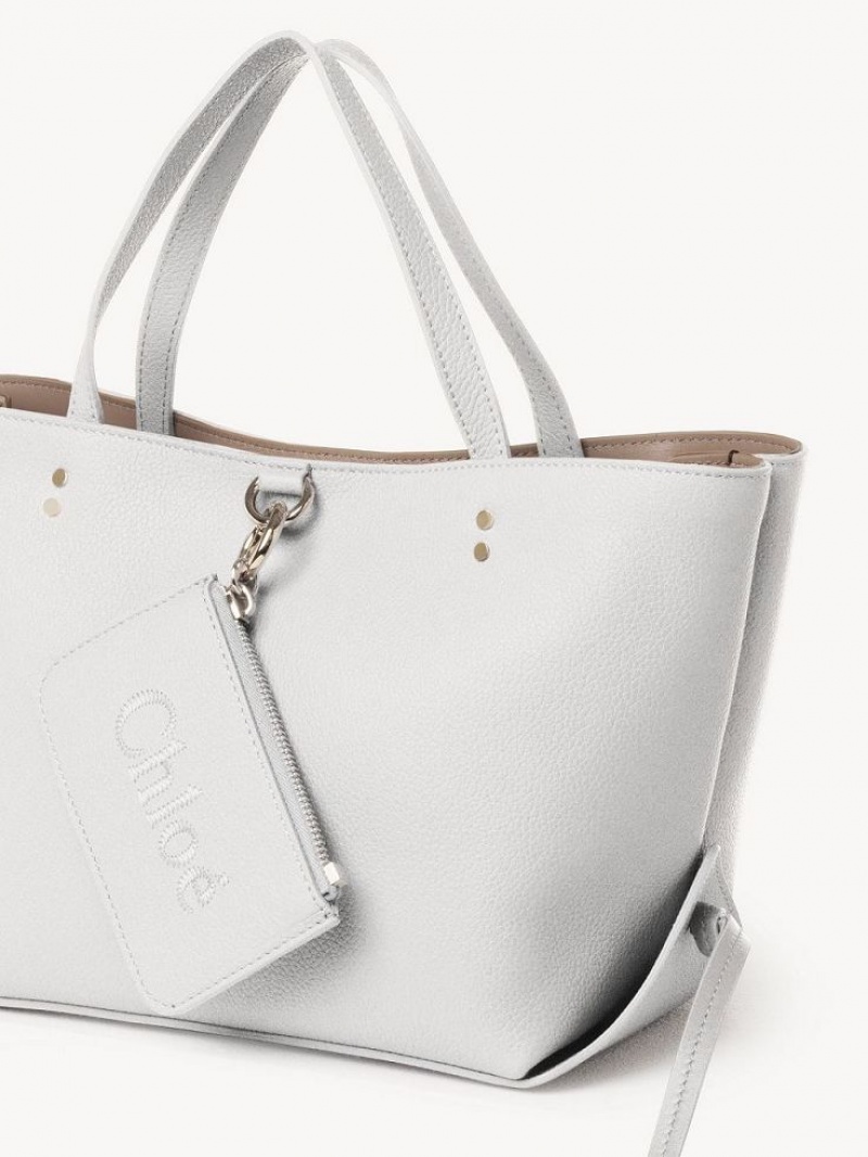 Torby Przez Ramię Chloe Sense Small East-west Białe | CHE-SR13421