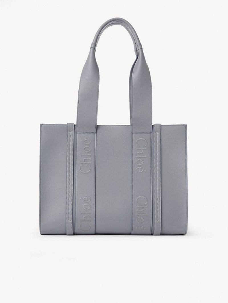Torby Tote Chloe Medium Woody Niebieskie | CHE-SR13323
