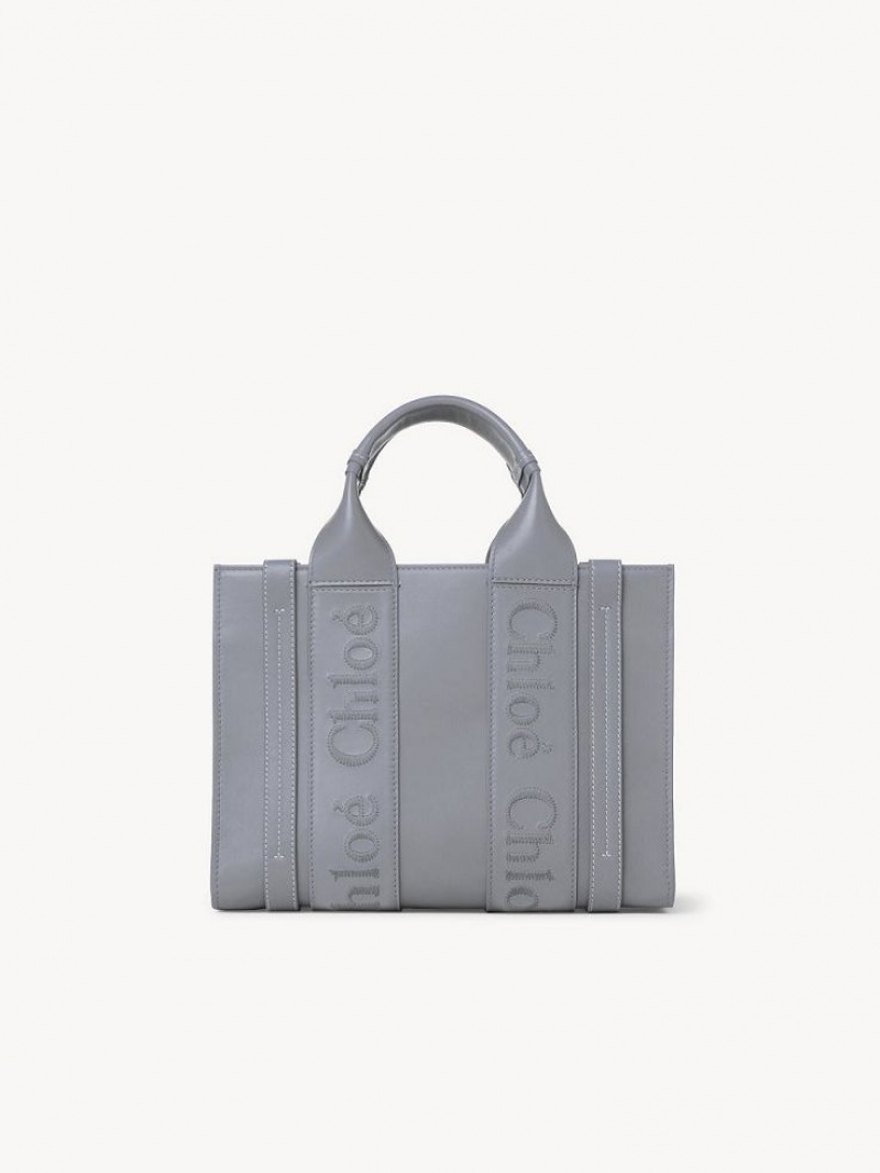 Torby Tote Chloe Small Woody Niebieskie | CHE-SR13322