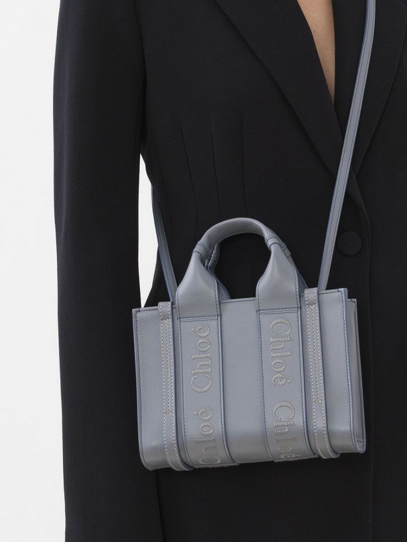Torebki Małe Chloe Woody Tote 1 Niebieskie | CHE-SR13729