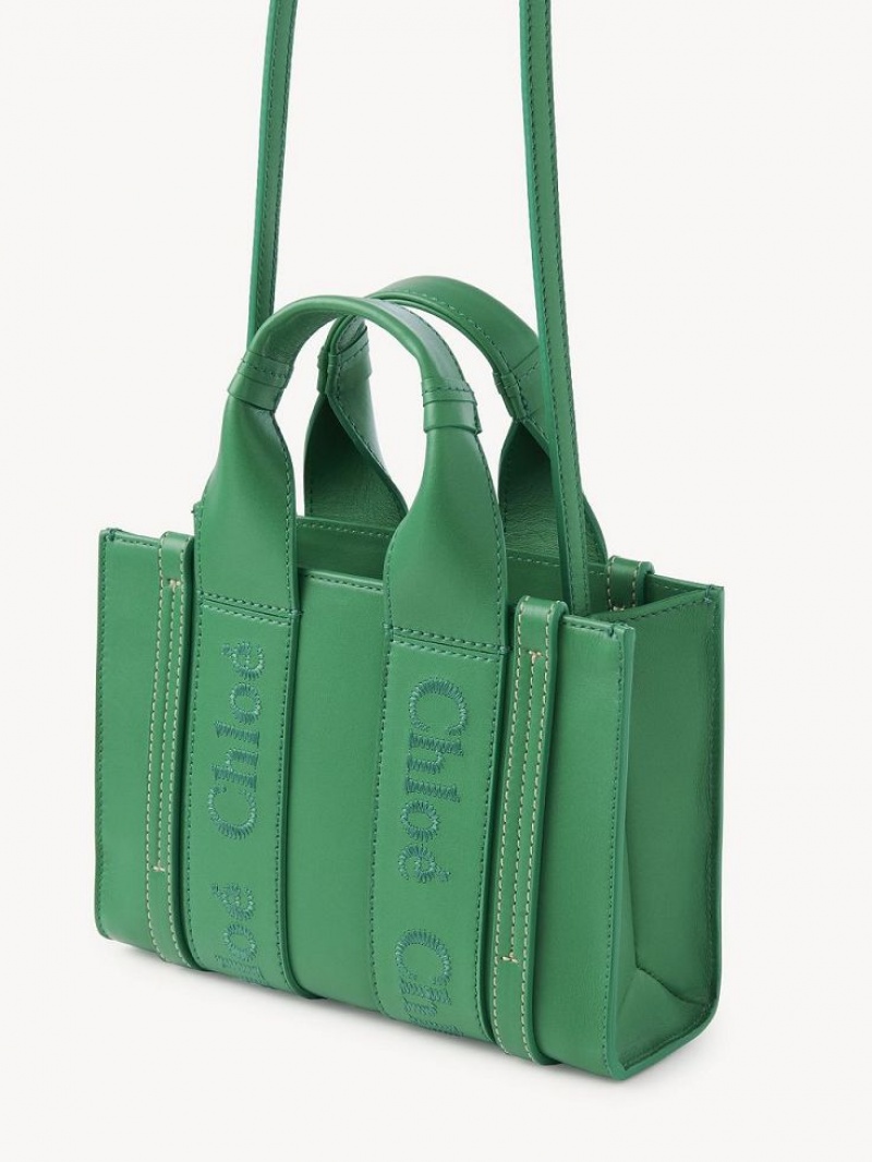 Torebki Małe Chloe Woody Tote 1 Zielone | CHE-SR13698